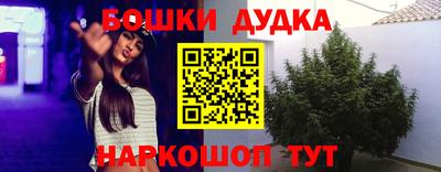 прущие крисы Кимры