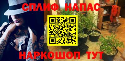 прущие крисы Кимры