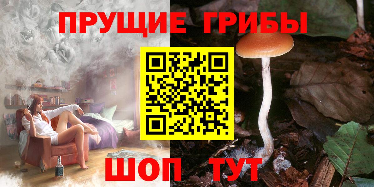 Галлюциногенные грибы мицелий  Вход с VPN  Курчатов 